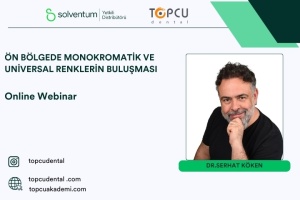 Ön Bölgede Monokromatik ve Universal Renklerin Buluşması